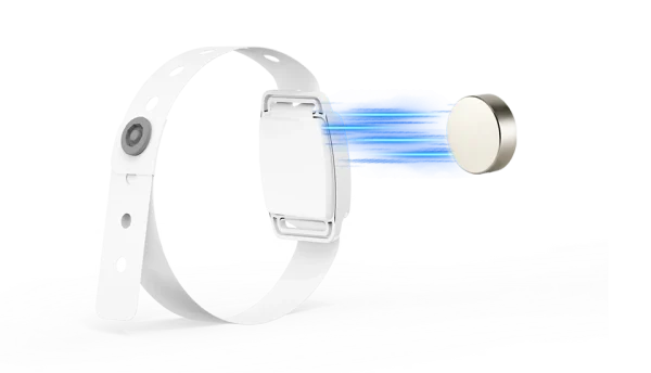 Magnetic switch
