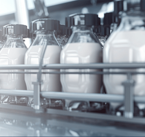 نقل منتجات الألبان