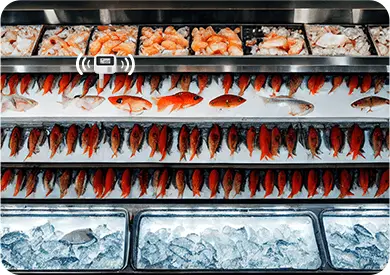 Frozen and Seafood