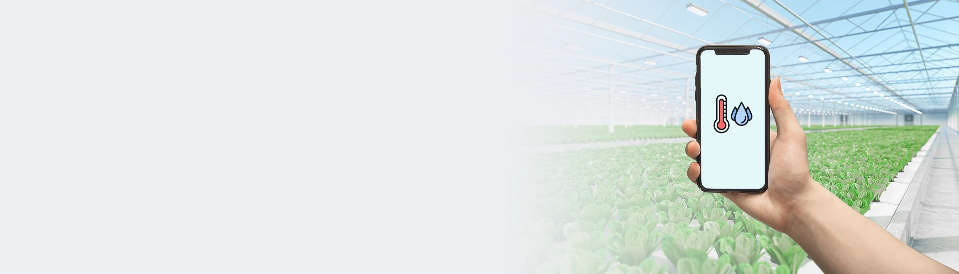 可选的报告模式