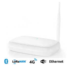 MG6 4GLorawan®恒星网关