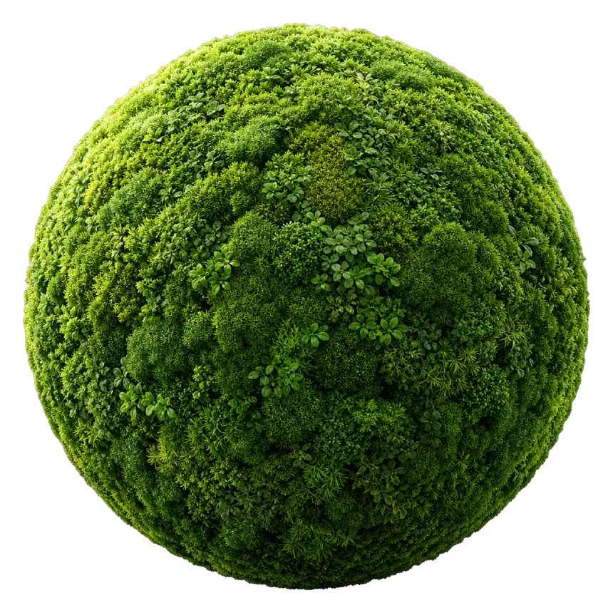 ESG